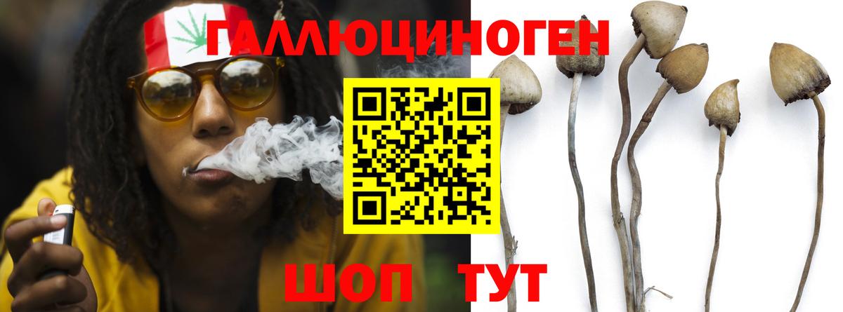 Псилоцибиновые грибы мухоморы  Псилоцибиновые грибы ЛСД  Вход с VPN  Подольск 